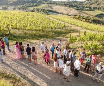 1 Tour del vino Nobile di Monepulciano