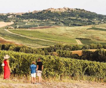 1. Tour del Vino Nobile di Montepulciano 1