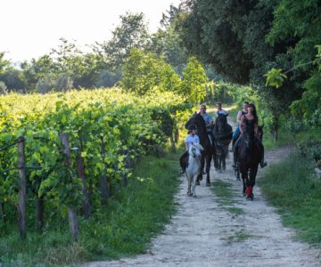 18. passeggiata cavallo pic nic