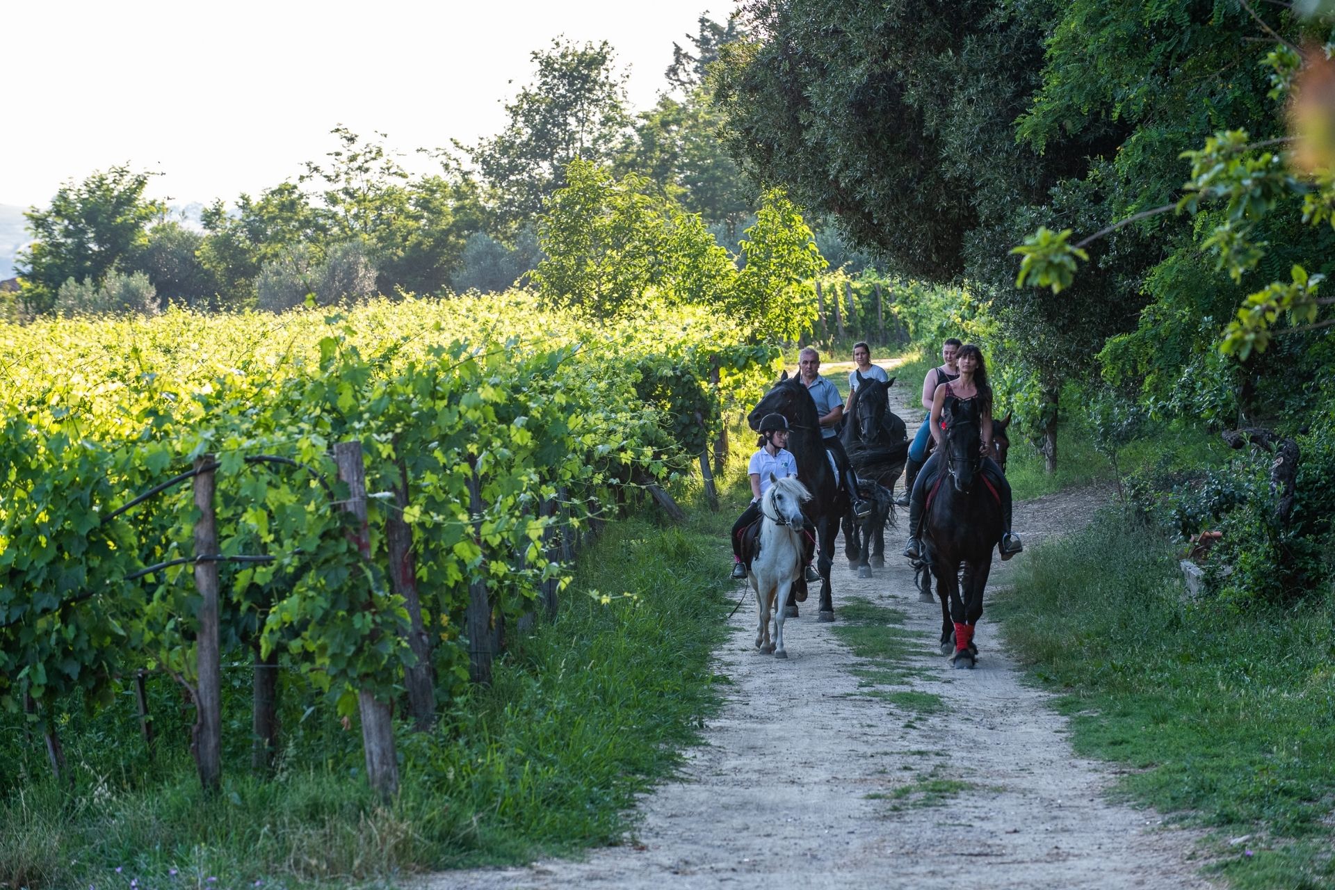 18. passeggiata cavallo pic nic