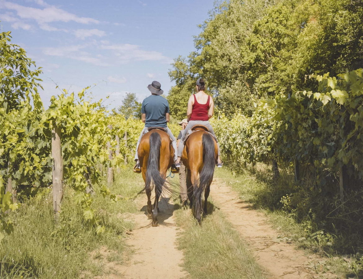 20. Passeggiata a cavallo con pic nic toscano 1