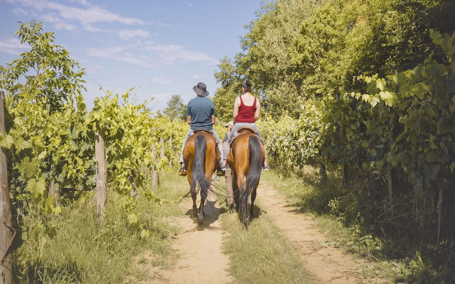 20. Passeggiata a cavallo con pic nic toscano 1