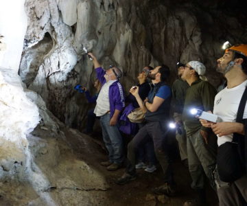 24 Speleo Tour in grotta e avventura nella preistoria 1