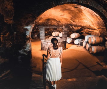 4. Tour cantine storiche