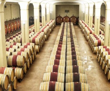 9. architettura del vino