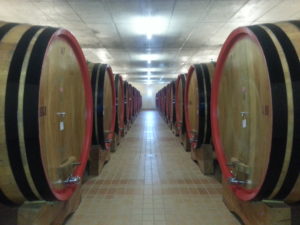 cellar_Lodola