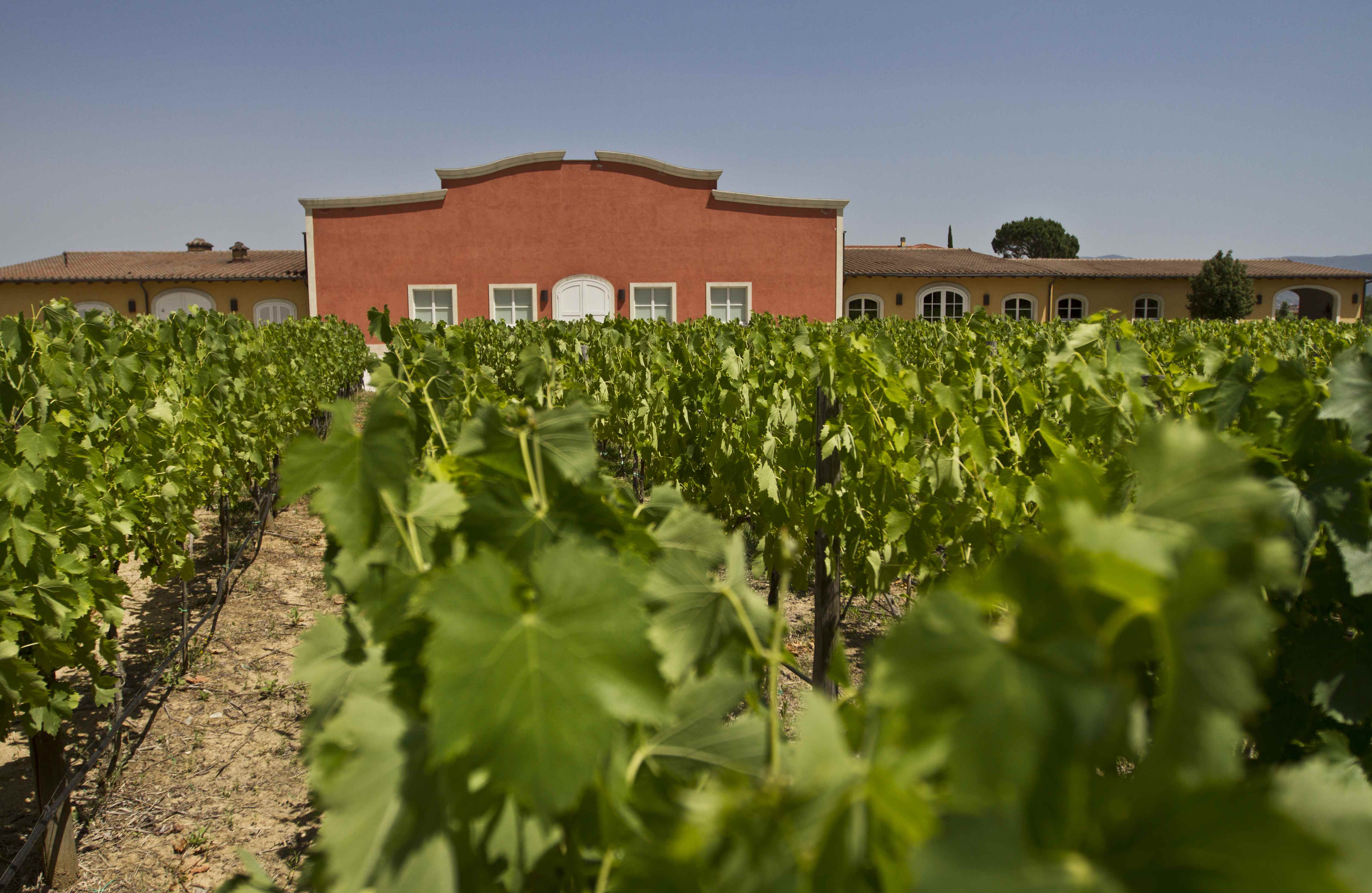 la braccesca antinori agricola004 MG 3330 2