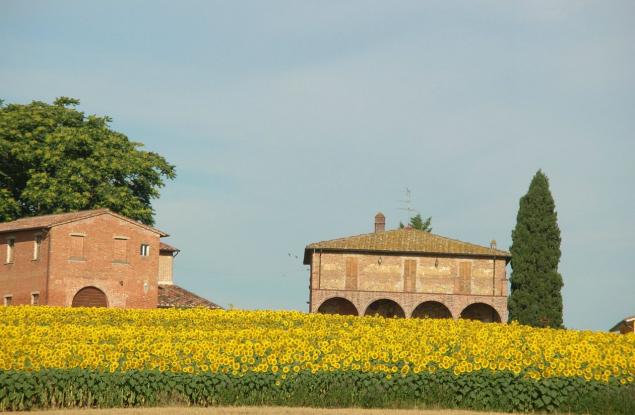 poderi sanguineto