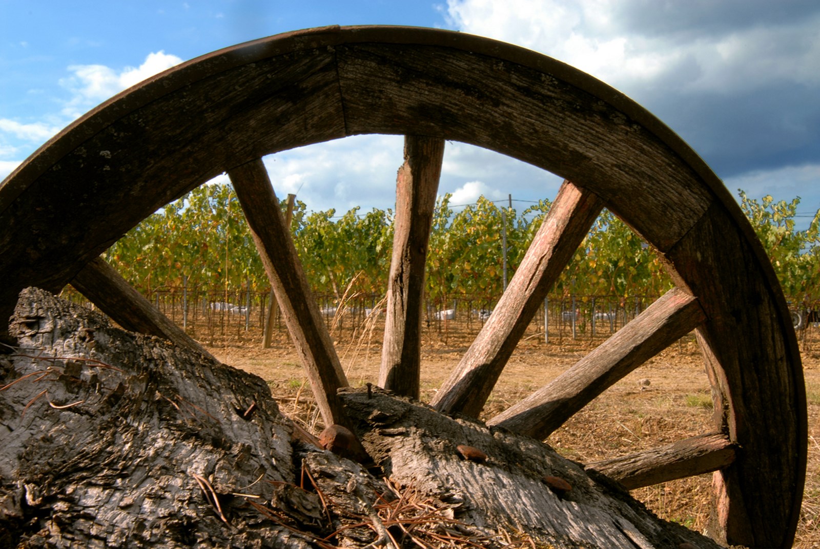 Fabel I stor skala I nåde af Farmhouse Croce di Febo Montepulciano (SI) | stradavinonobile.it