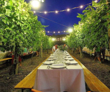 3 Cena in vigna 2