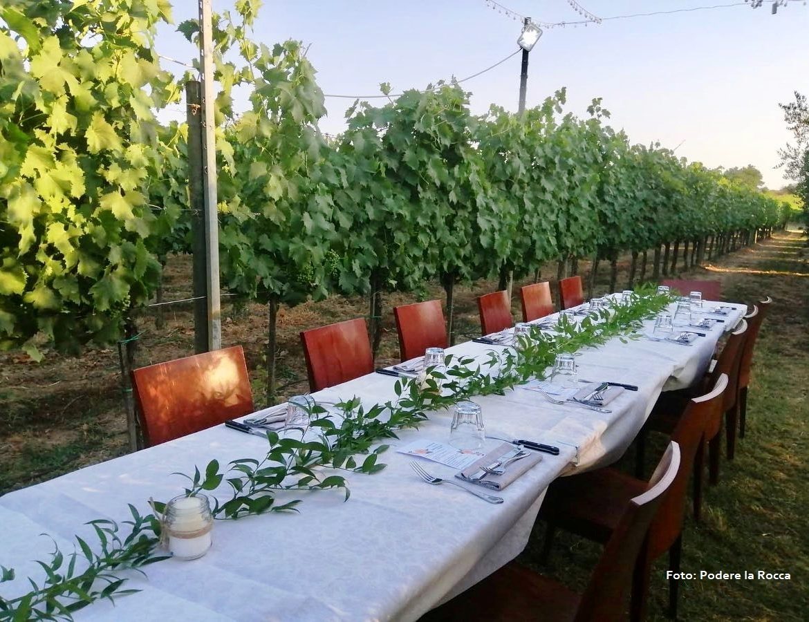 3 Cena in vigna 4