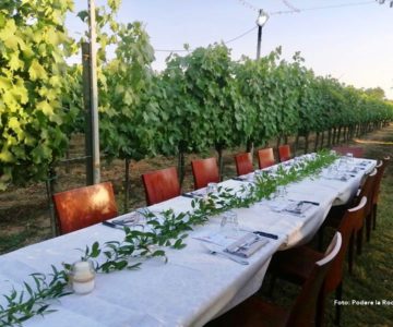 3 Cena in vigna 4