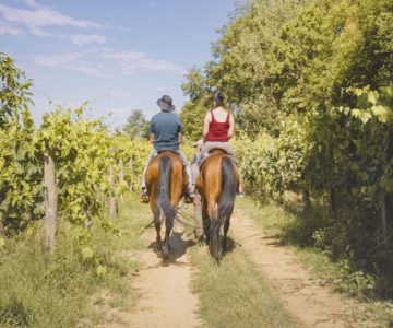 18. Passeggiata Romantica a cavallo