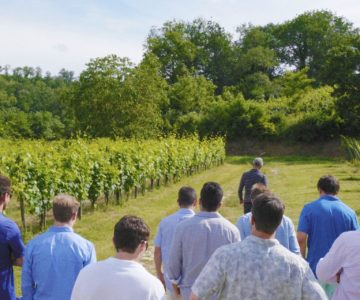 6.Wine Experience con il vignaiolo min