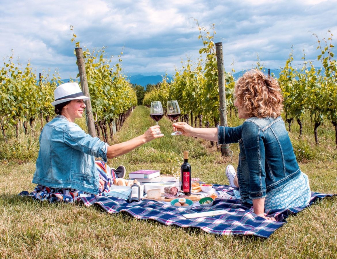 Picnic in vigna a Montepulciano