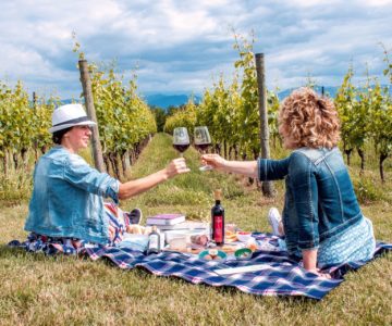 Picnic in vigna a Montepulciano