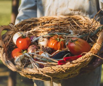 Corso di cucina vegana