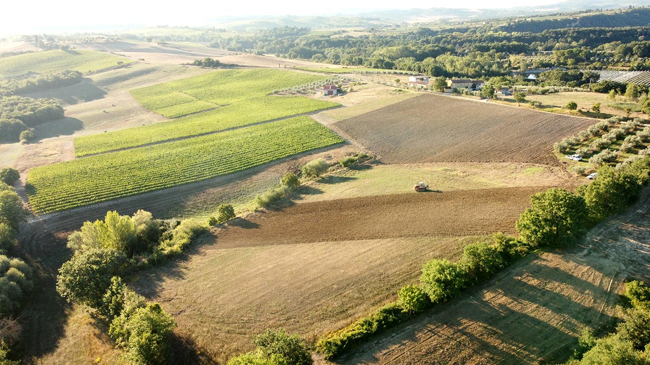 Podere Casa al Vento 1 1