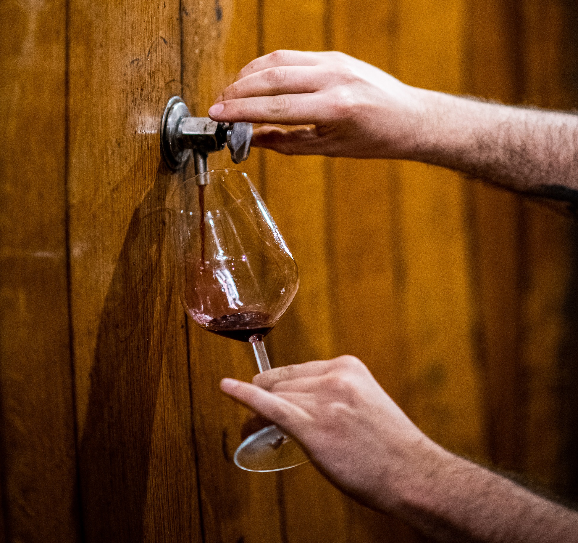 Montepulciano Degustazione Cantina Interno (8)