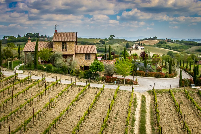 Cantina Chiacchiera ridimensionata per sito strada